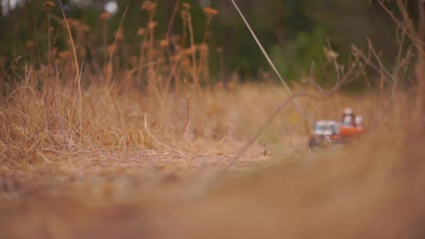 Nahaufnahme Von Konstrukteursspielzeug Auf Goldenem Gras Herbstlichen Park — Stockvideo