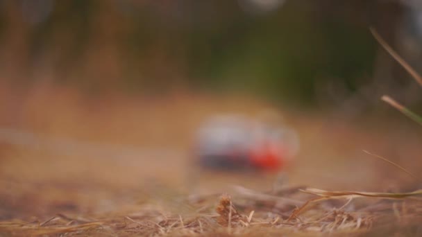 Close Beelden Van Bouwspeelgoed Gouden Gras Het Herfstpark — Stockvideo