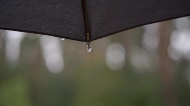 Bulutlu bir günde yağmurun şemsiyeyi kapladığı yakın çekim görüntüleri