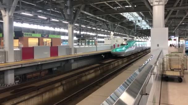 Filmaufnahmen Von Leeren Zügen Auf Dem Bahnhof — Stockvideo