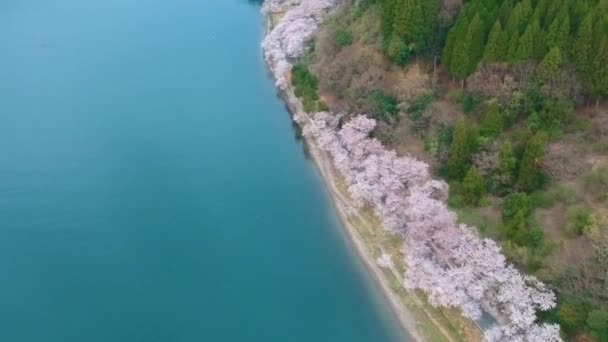 아름다운 산강의 — 비디오