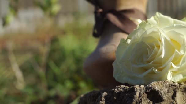 Natursköna Bilder Ros Blomma Framför Naturliga Suddig Bakgrund — Stockvideo