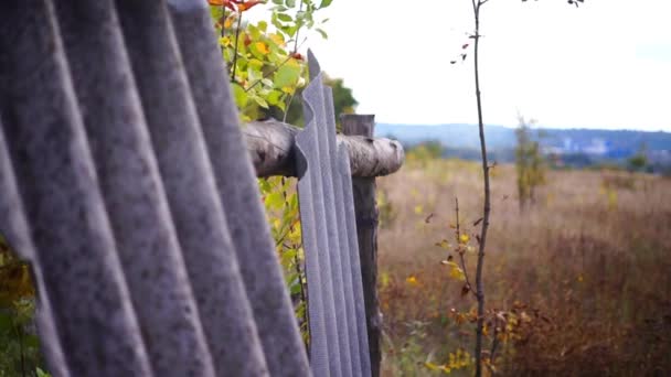 Images Panoramiques Vieille Clôture Sur Nature Par Temps Nuageux — Video