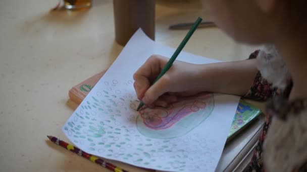 Close Footage Girl Drawing Pencils Vídeo De Stock