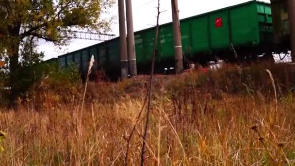 Záběry Nákladního Vlaku Projíždějícího Železnici Přírodě — Stock video