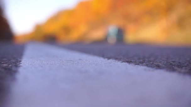 Natursköna Bilder Asfalterad Väg Höstparken — Stockvideo