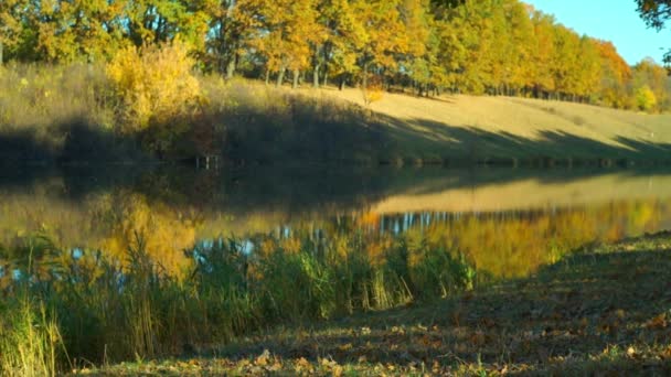 images panoramiques du lac calme dans le parc automnal 