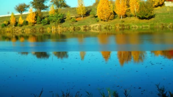 Autumnal Park Taki Sakin Gölün Manzaralı Görüntüleri — Stok video