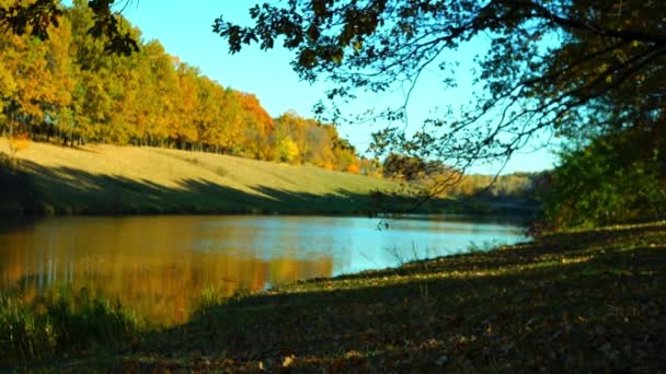 images panoramiques du lac calme dans le parc automnal 