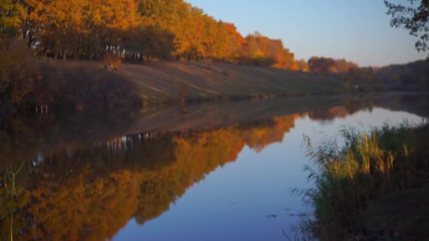 Imagens Cênicas Lago Calmo Parque Outonal — Vídeo de Stock