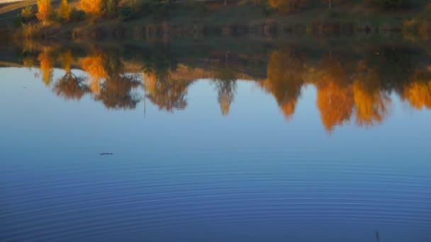 Natursköna Bilder Lugn Sjö Höstens Park — Stockvideo