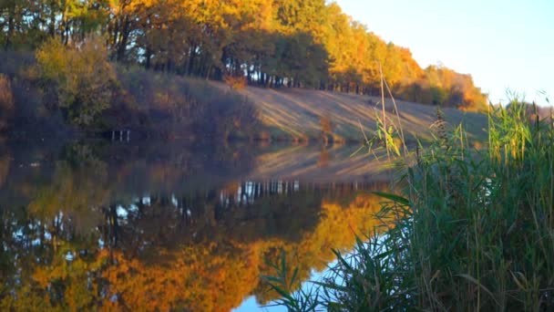 images panoramiques du lac calme dans le parc automnal 