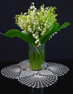 Lily vadi siyah cam zemin üzerine