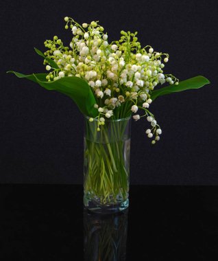 Lily vadi siyah cam zemin üzerine