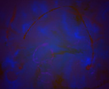 parlak renkli arka plan doku darbeleri ile