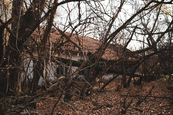 Napsütéses Szép Őszi Nap Feltárja Romjai Épületek Csernobil Területén Veszélyes — Stock Fotó