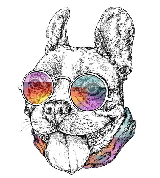 Bulldog francés divertido — Vector de stock