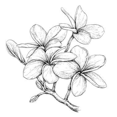 Tropikal kolye çiçekler 