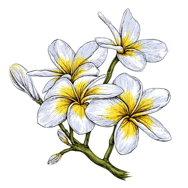 Tropikal kolye çiçekler 