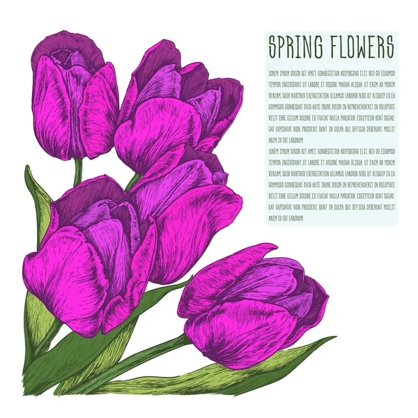 Kézzel rajzolt lila virágok — Stock Vector