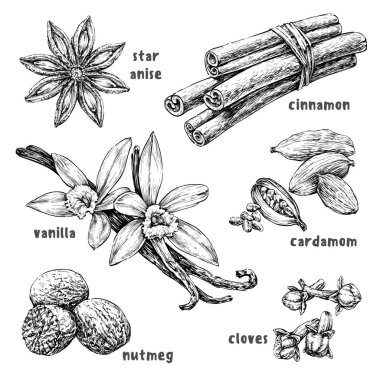 Set of dessert spices  clipart