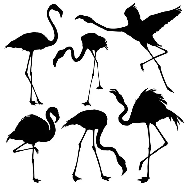 Flamingo siluett set — Stock vektor