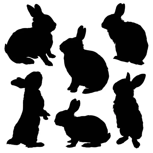 Tavşan siluet seti — Stok Vektör