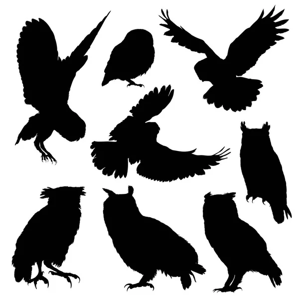 Owl silhouette set — Stock Vector