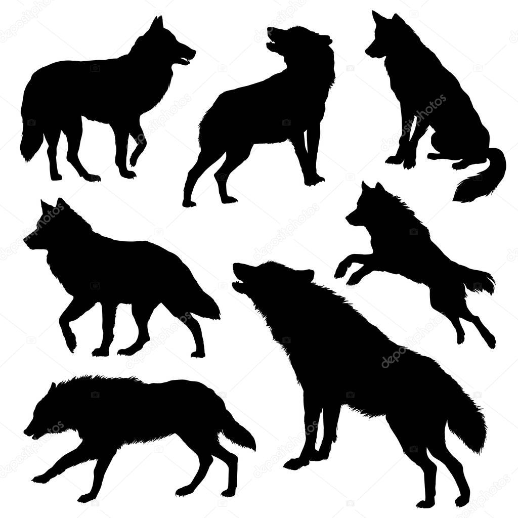 Wolf silhouette set. Vector detailed illustration