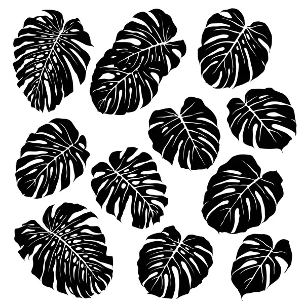 Montera 나뭇잎 패턴 — 스톡 벡터