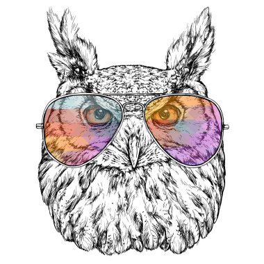 siyah ve beyaz baykuş