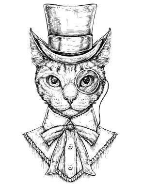 Kedi giyen silindir 