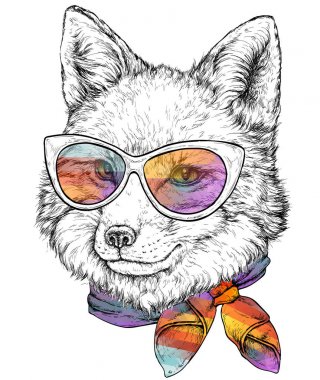 Renkli gözlük sevimli kedi