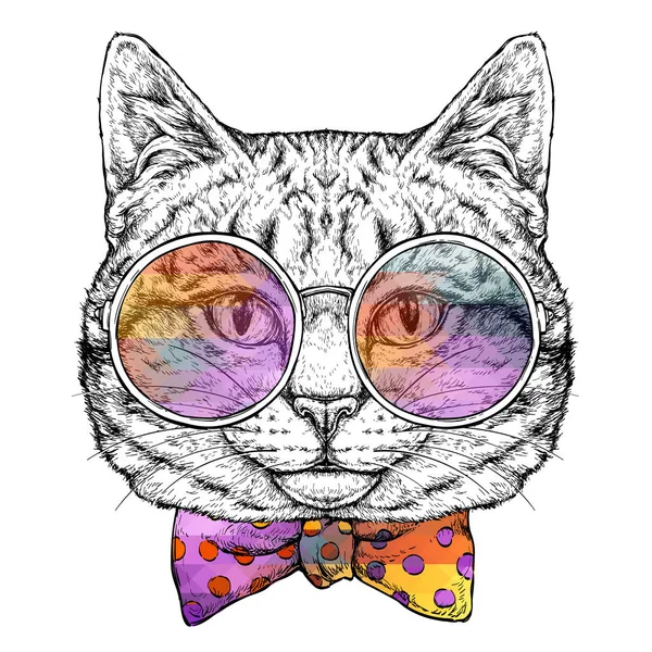 Lindo gato en gafas de colores — Archivo Imágenes Vectoriales