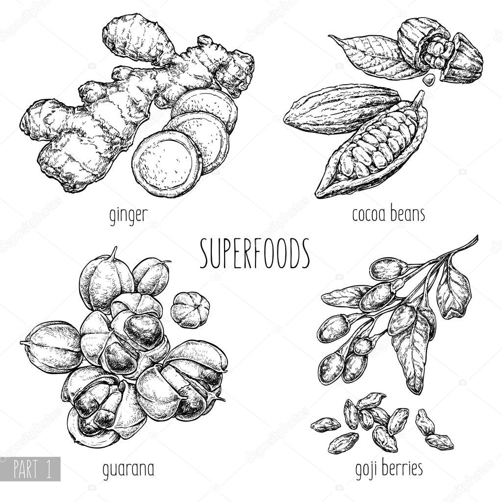 Black and white set of superfoods, vector illustration