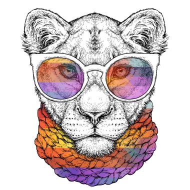 El gözlük ve eşarp şirin dişi aslan portresi çizilir. Vektör çizim üzerinde beyaz izole