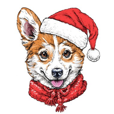 Köpek yavrusu Pembroke Welsh corgi portre kırmızı Noel Baba'nın şapka ve atkı ile Noel kartı. Vektör çizim