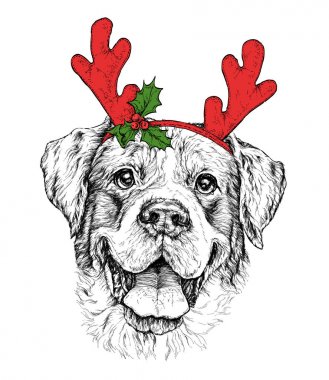 Noel kartı ile çoban köpeği portre boynuz geyik maskeli. Vektör çizim