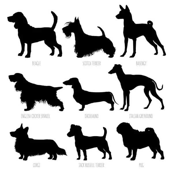 Cane Razze Silhouette Set Illustrazione Vettoriale Dettagliata Liscia — Vettoriale Stock