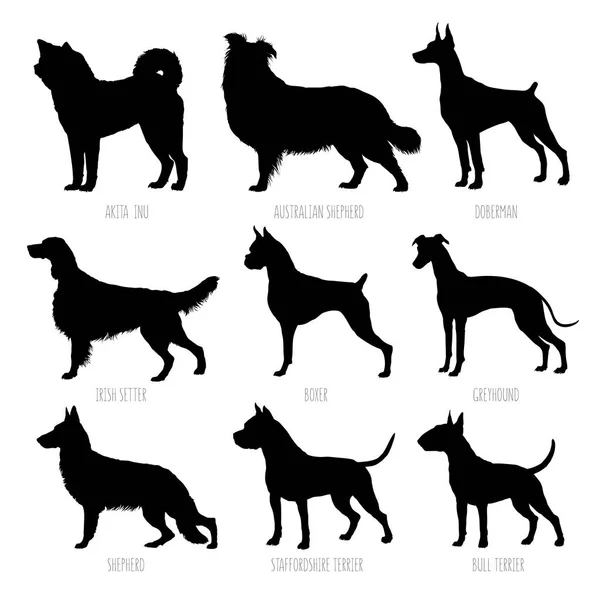Hond Rassen Silhouetten Set Hoog Gedetailleerde Gladde Vectorillustratie — Stockvector