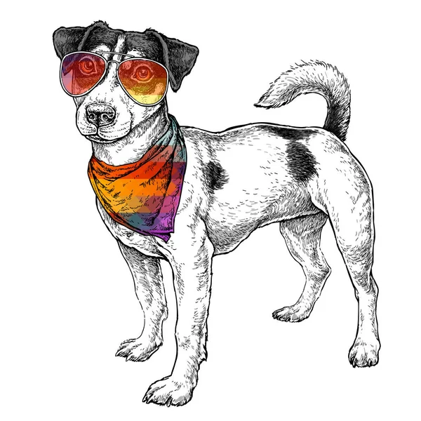 Esboço Estilo Hipster Desenhado Mão Jack Russell Terrier Engraçado Bonito —  Vetores de Stock