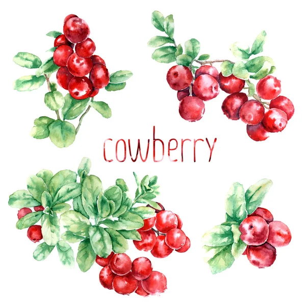 手工绘制的带有草莓的水彩画 — 图库照片