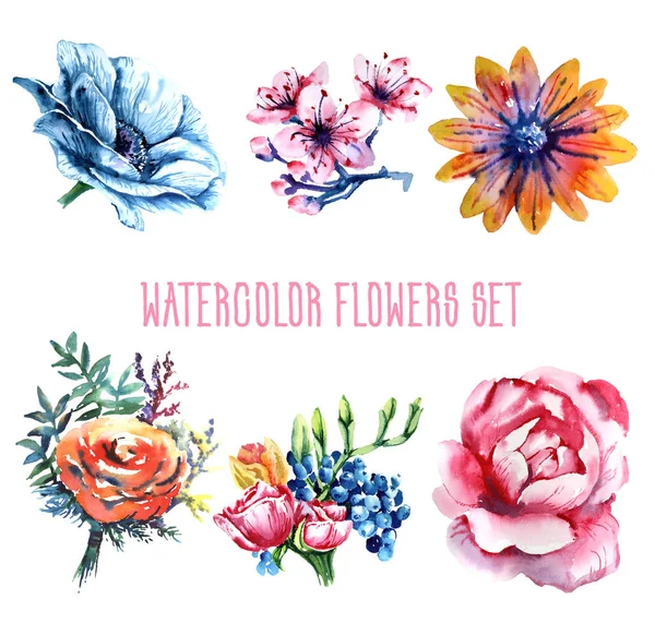 Aquarel Bloemen Set Handgetekende Illustratie — Stockfoto