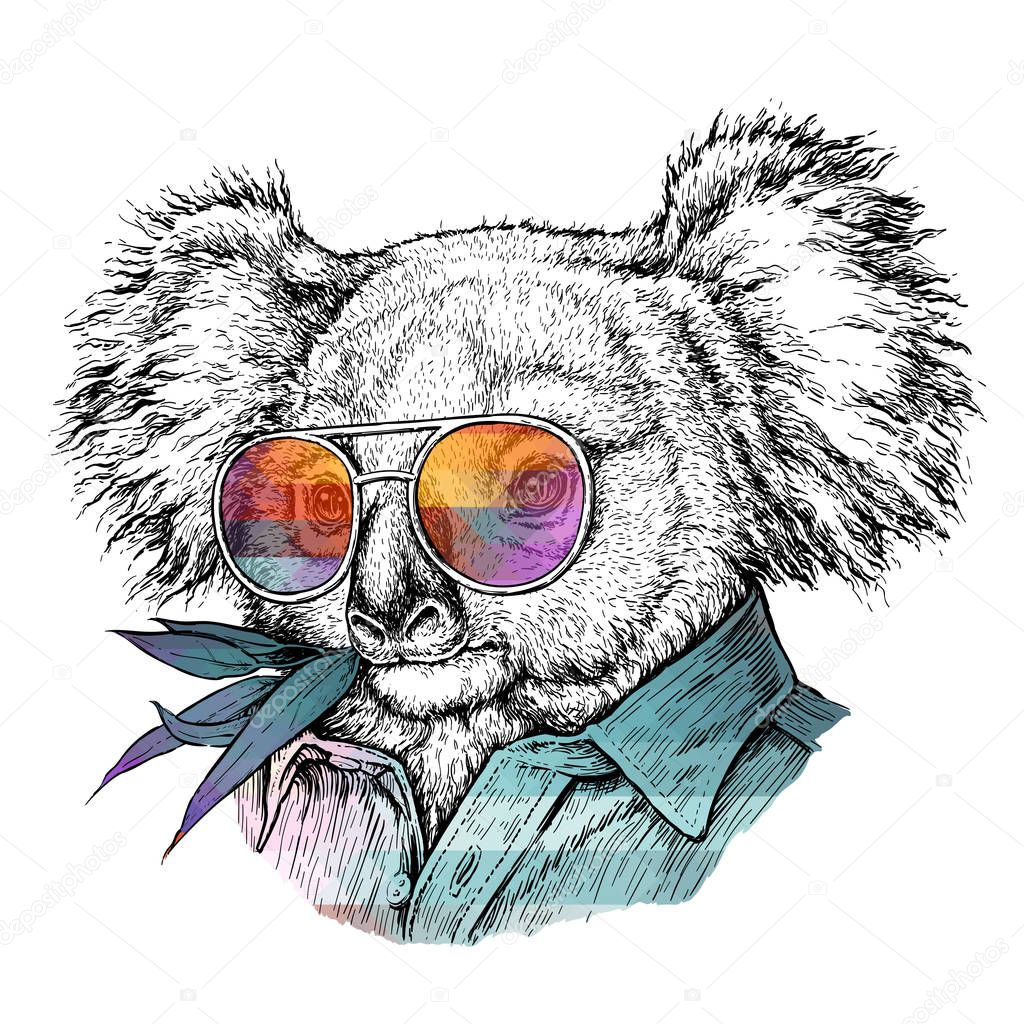 Hand-drawn portrait of Koala bear in glasses. Vector illustration isolated on white