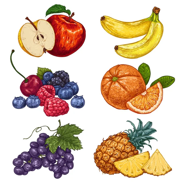 Frutas Frescas Jugosas Ilustración Dibujada Mano Aislada Sobre Fondo Blanco — Vector de stock