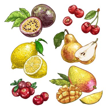 Taze ve sulu meyveler beyaz arka planda izole edilmiş ikinci el çizimi. Doodle vejetaryen yemek çizimleri