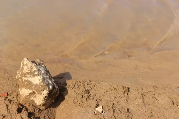 Gölün kıyısında güzel bir taş. Arkası bulanık. Kumda güzel bir taş..