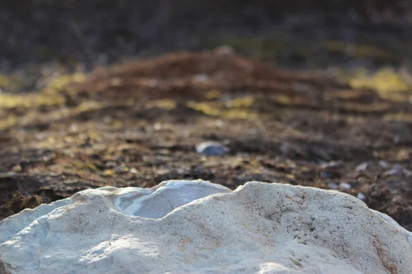 İlkbaharda çatlakları olan güzel beyaz taş..