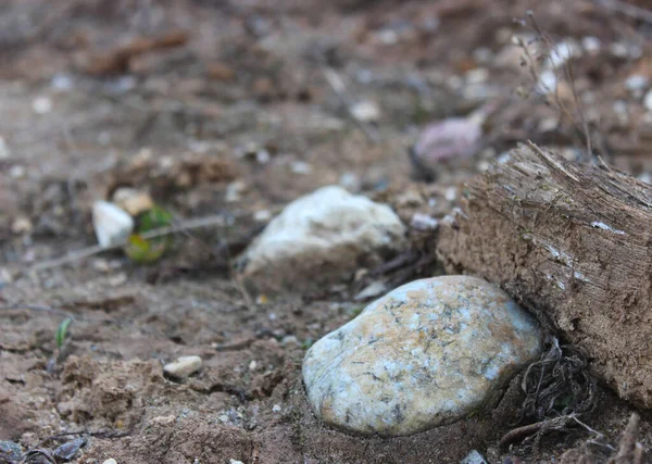 İlkbaharda çok renkli yakın çekim sonuçları olan güzel bir taş. Küçük bir pürüzün yanında..
