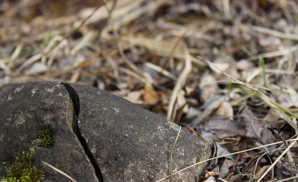 Güzel siyah bir taş, ikiye bölünmüş..
